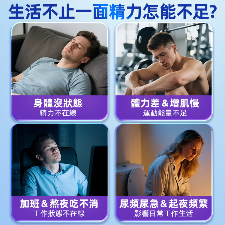 Hipster強腎片（牡蠣片）