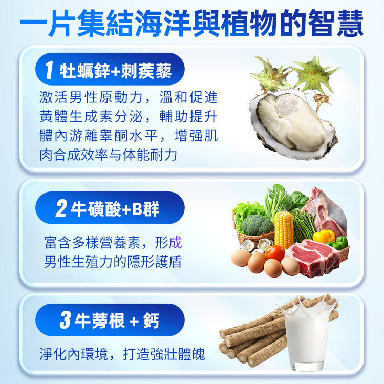 Hipster強腎片（牡蠣片）